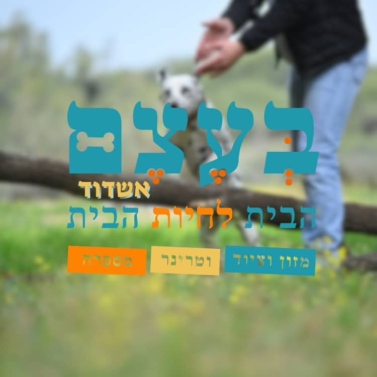 ישראפט - בעצם - חנות חיות ואביזרים