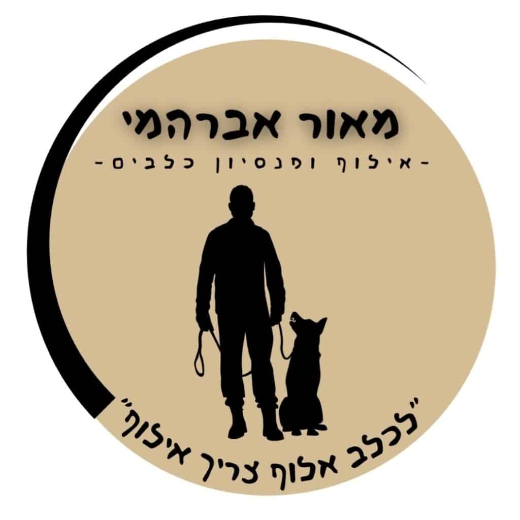 ישראפט - לכלב אלוף צריך אילוף - פנסיון בוטיק