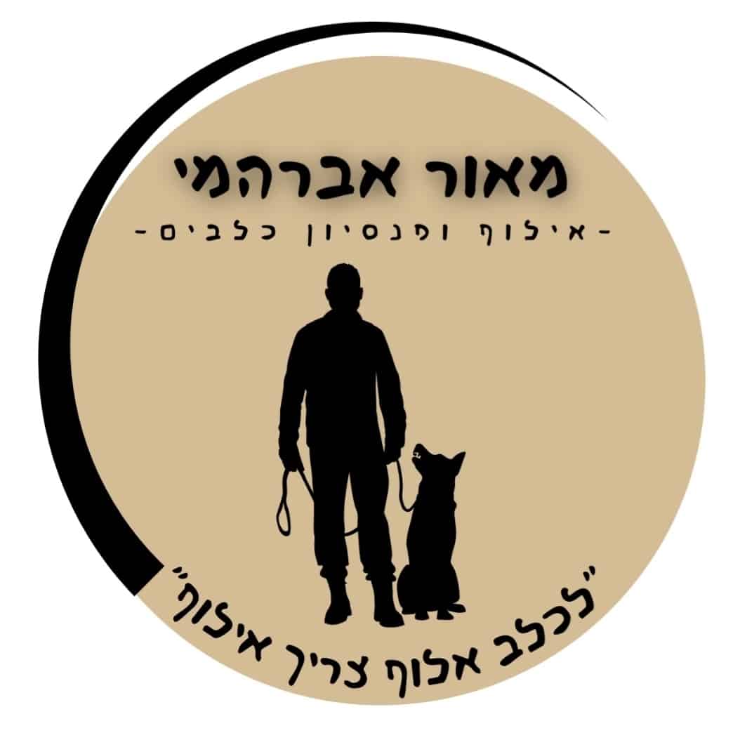 ישראפט - לכלב אלוף צריך אילוף - פנסיון בוטיק