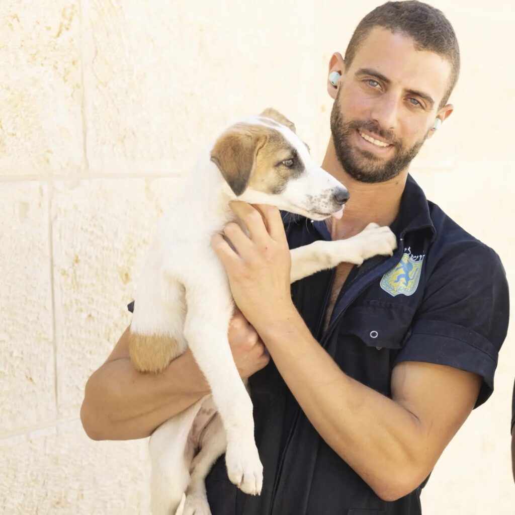 ישראפט - 1f854c59-b4a6-479a-827f-b4271efecf82