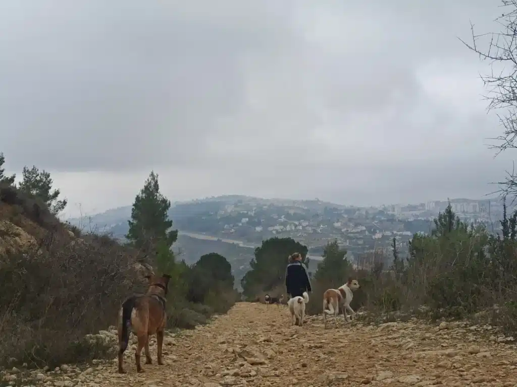 ישראפט - IMG_20240630_011104_628