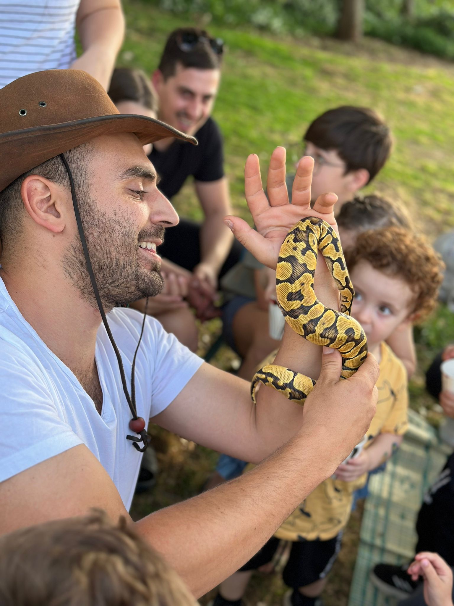 אילן זמור – החיות של באלו