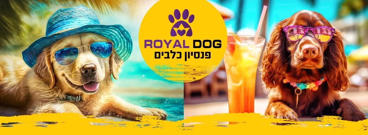 royal dog