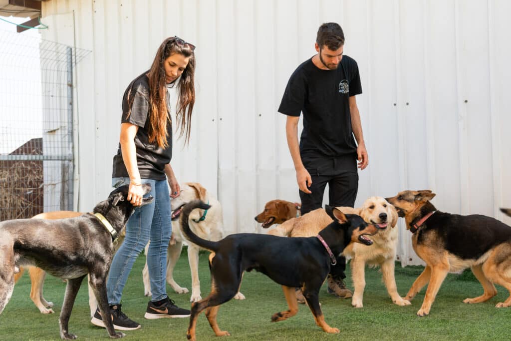 ישראפט - 20250724_EXTRADOG-56