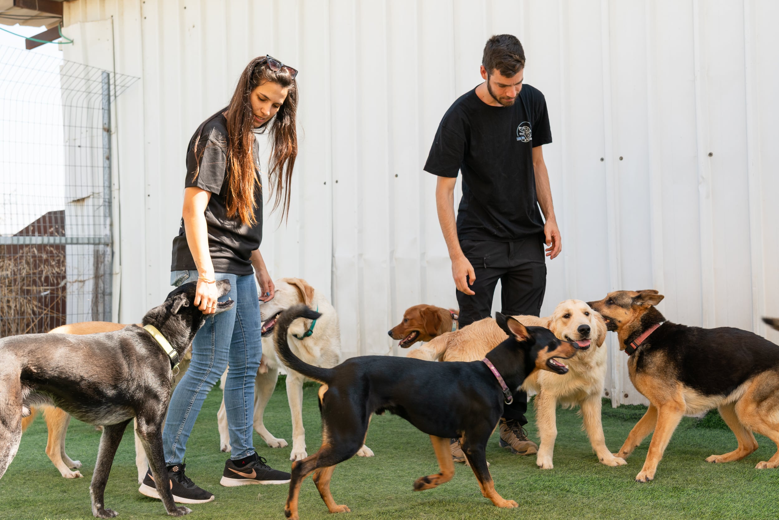 ישראפט - 20250724_EXTRADOG-56