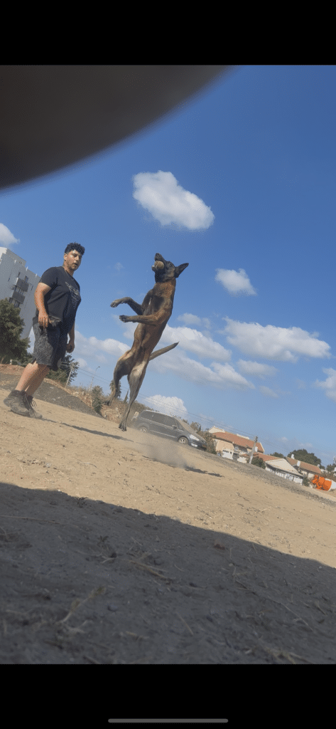 Osher dog trainer