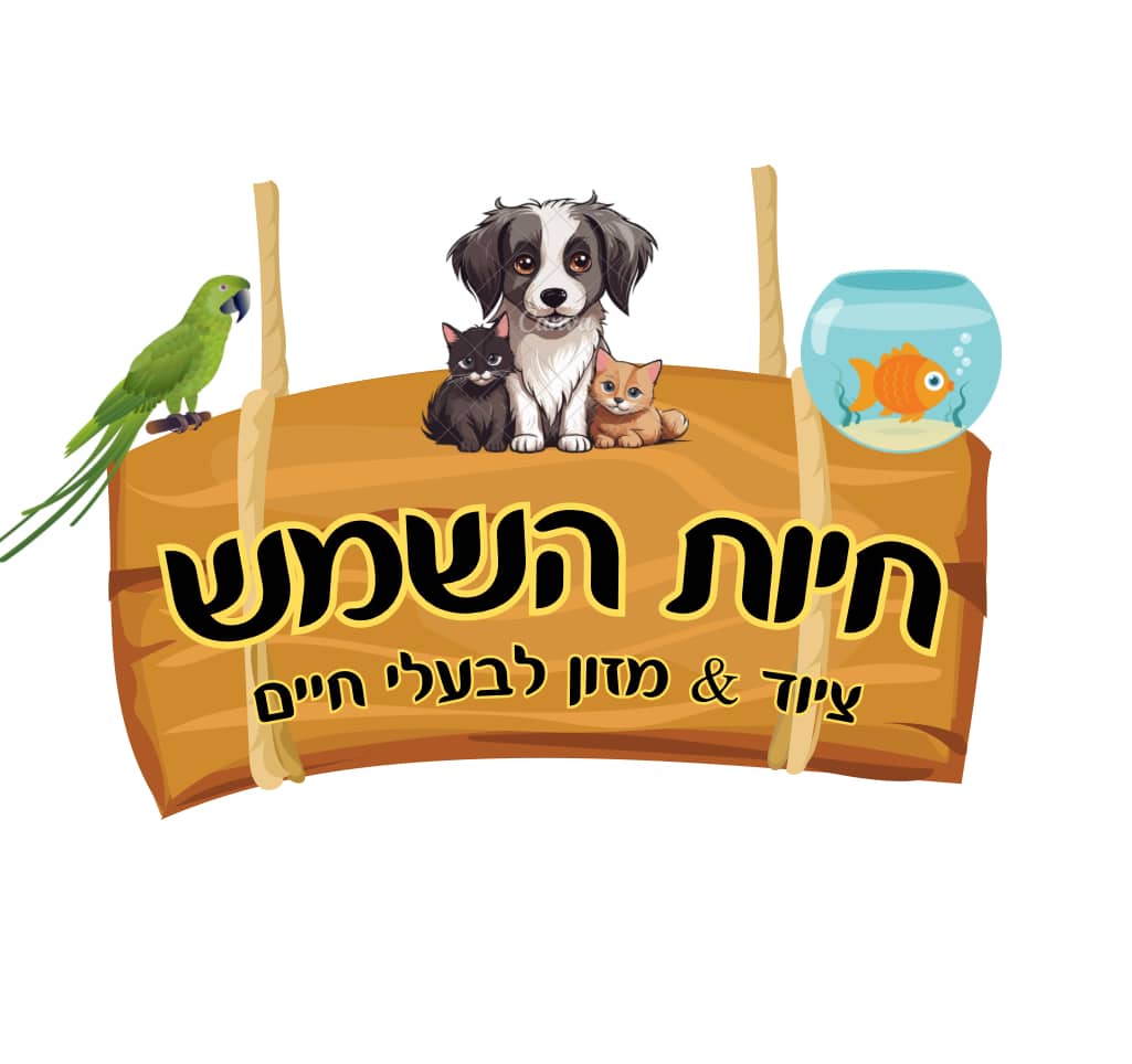 ישראפט - IMG_0824