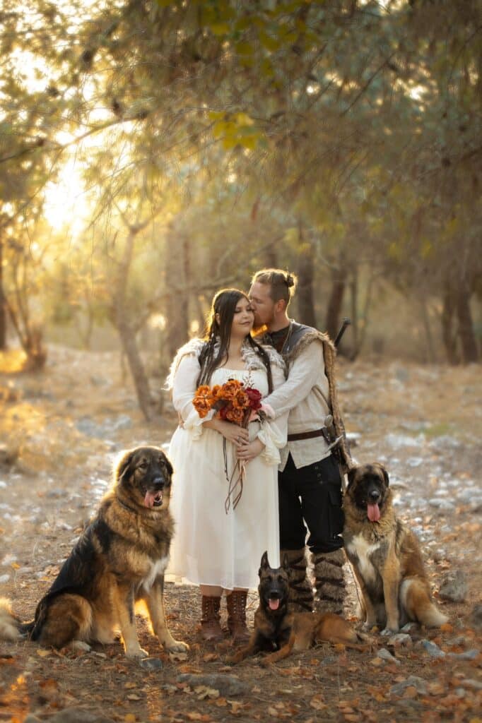 Valhalla 4 Dogs – צילום מקצועי לכלבים