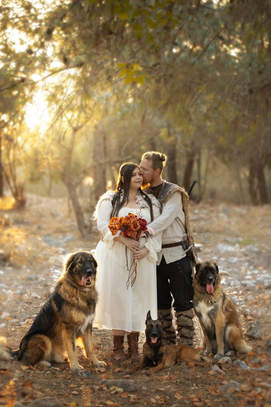 Valhalla 4 Dogs – צילום מקצועי לכלבים