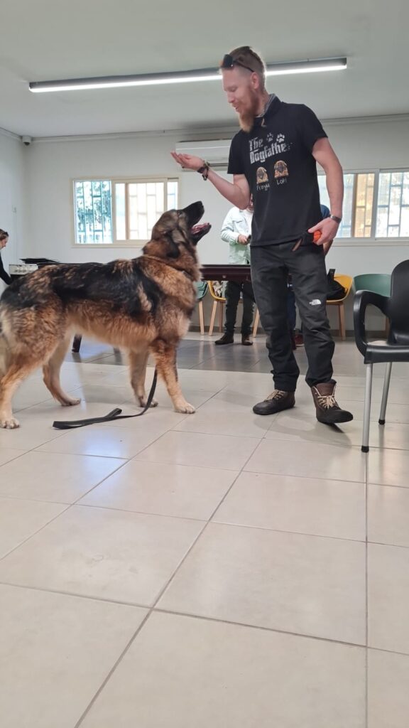 Valhalla 4 Dogs – אילוף כלבים