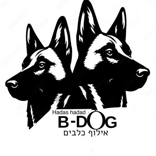הדס חדד – מאלפת כלבים