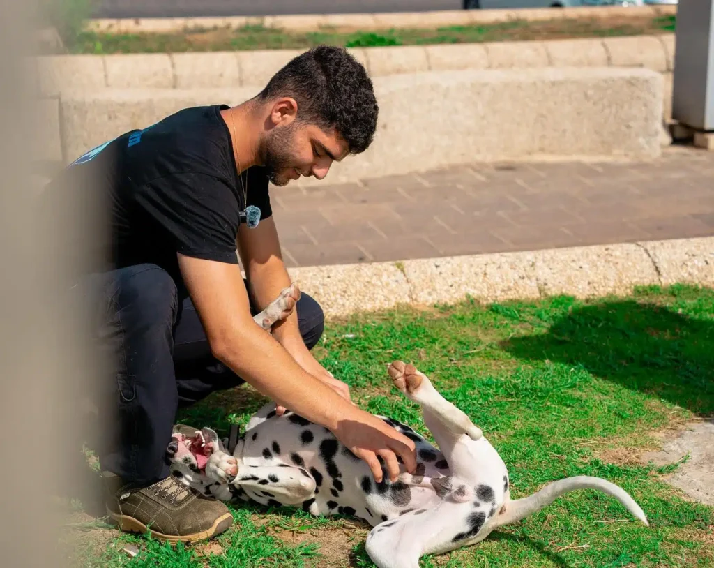 יועד ששוני מאלף כלבים