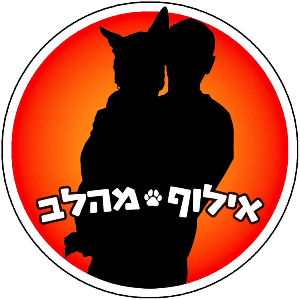 לב סלסקי – אילוף מהלב