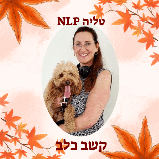 קשב כלב