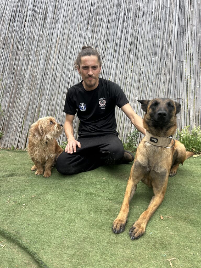 MR Dog Trainer